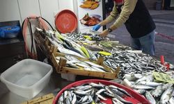 Tekirdağ'da su ürünleri denetimleri aralıksız sürüyor