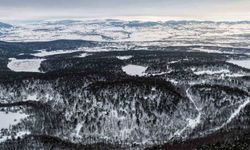 Tokat'taki Kurt Gölü'nün kış manzarası mest etti