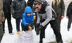 Vali Aygöl, yaban hayvanları için kolları sıvadı