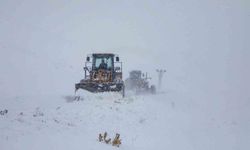 Van'da 671 yerleşim yerinin yolu ulaşıma kapandı