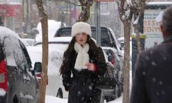 Van'da lapa lapa kar yağışı: 625 yol kapandı, okullar tatil edildi