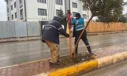 Yeşil alanlarda mevsimlik bakım ve güçlendirme seferberliği