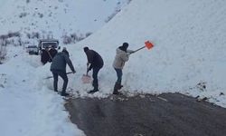 Yola düşen çığı vatandaşlar küreklerle kaldırdı