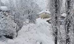 Yüksekova'da çığ yerleşim yerine indi: Facianın eşiğinden dönüldü