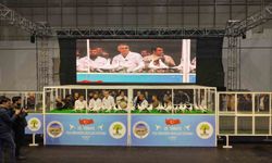 Gaziantep'te '29. Türkiye Filo Güvercin Güzellik Festivali' düzenlendi