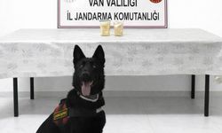 İranlı şahıs üzerinde 510 gram eroin ele geçirildi.