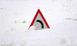 Kar yağışı Bitlis'te etkisini artırdı: 100 köy yolu ulaşıma kapandı