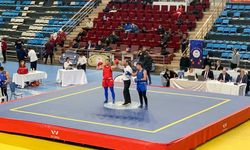 Kastamonu Üniversitesi sporcularından Türkiye ikinciliği