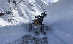 Kemaliye'de köy yollarında karla mücadele sürüyor