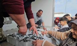 1 ton hamsi 15 dakika da tükendi