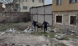 3 yaşındaki çocuğuna köpek saldıran baba: 'Köpeğin çocuğumuzu bırakması için çok uğraştık'