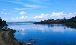 Adana'da barajlar doldu