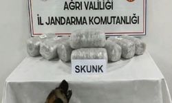 Ağrı'da 10 kilogram skunk ele geçirildi, 1 şüpheli tutuklandı