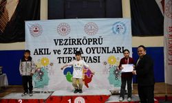 Akıl ve Zekâ Oyunları Turnuvası