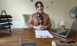 Alışılmış öfke normalleşiyor