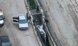 Alkollü ve ehliyetsiz sürücü ortalığı birbirine kattı