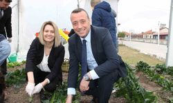 Altıntaş Zafer İlkokulu Tarım Atölyesinin ilk hasadı ıspanak oldu