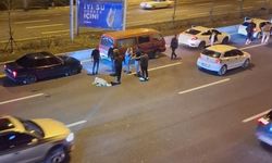 Ankara'da başıboş köpek sorunu kazalara neden oluyor