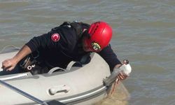 Antalya itfaiyesinden film gibi martı kurtarma operasyonu