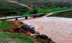 Araban'da etkili olan sağanak yağış Sıtma Pınar Çayı'nın debisini arttırdı