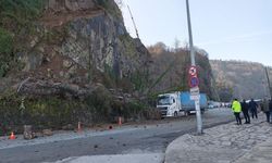 Artvin'de heyelan: Yamaçtan kopan kayalar tırda hasara yol açtı