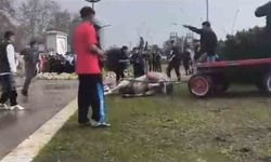 Atını sopa ve tekmeyle bayılttı