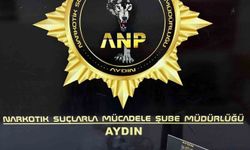 Aydın'da uyuşturucu operasyonu: 1 tutuklama