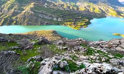 Ayı Nevruzu Gerger kayalıklarını renklendirdi
