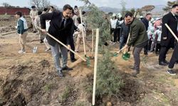 Ayvacık'ta 1500 fidan toprakla buluşturuldu