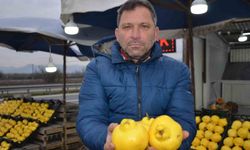 Ayvayı bu sene ayaz vurdu, fiyatlar fırladı