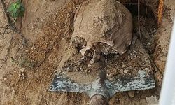 Bahçede yapılan kazıda insan kafatası ve kemikler bulundu