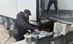 Balıkçı Ramazan'da ücretsiz hamsi dağıttı