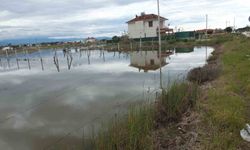 Balıkesir'de yazlıklar su içinde kaldı