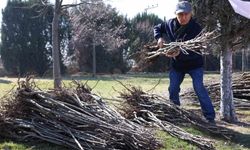 Başkan Altay: '23 bin 500 adet fidanı çiftçimize ulaştıracağız'