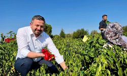 Başkan Aydemir'den, Balıkesir çiftçisine 867 milyon TL'lik müjde