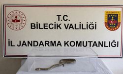 Bilecik'te nesli tükenmekte olan piton yılanı yakalandı