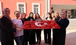 Bilecik'te sıfır atık etkinliğinde atıklarla Türk bayrağı oluşturuldu