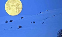 Bitlis'te karlı dağlarla bütünleşen ay manzarası mest etti