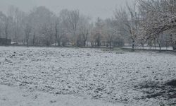 Bolu güne karla uyandı