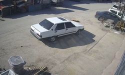 Bolu'da köpeğin üzerinden geçen sürücü gözaltına alındı