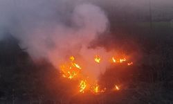 Bolu'da otluk alanda çıkan yangın büyümeden söndürüldü