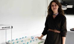 BŞEÜ akademik alanda önemli bir başarıya imza attı