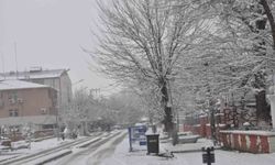 Bulanık Mart ayında beyaz büründü