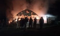 Bursa'da çiftlikte yangın: 580 kanatlı hayvan telef oldu