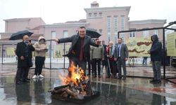 Bursa'da nevruz coşkusu