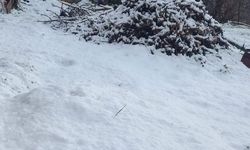 Çameli'nde kar kalınlığı 20 santime yaklaştı