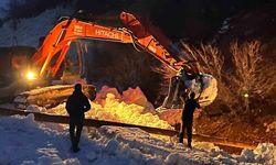 Çığ vurdu, devlet ve ilgili kurumlar çalışma başlattı, Beşağaç köyü karanlıktan kurtarıldı