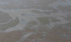 Cizre'de boru hattındaki sızıntı nedeniyle petrol Dicle Nehrine karıştı, ekipler arızayı giderdi