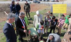 Cumayeri'nde fidanlar toprakla buluştu