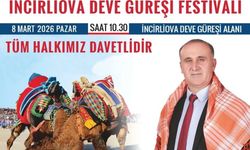 Deve Güreşi sezonu İncirliova'da başlıyor